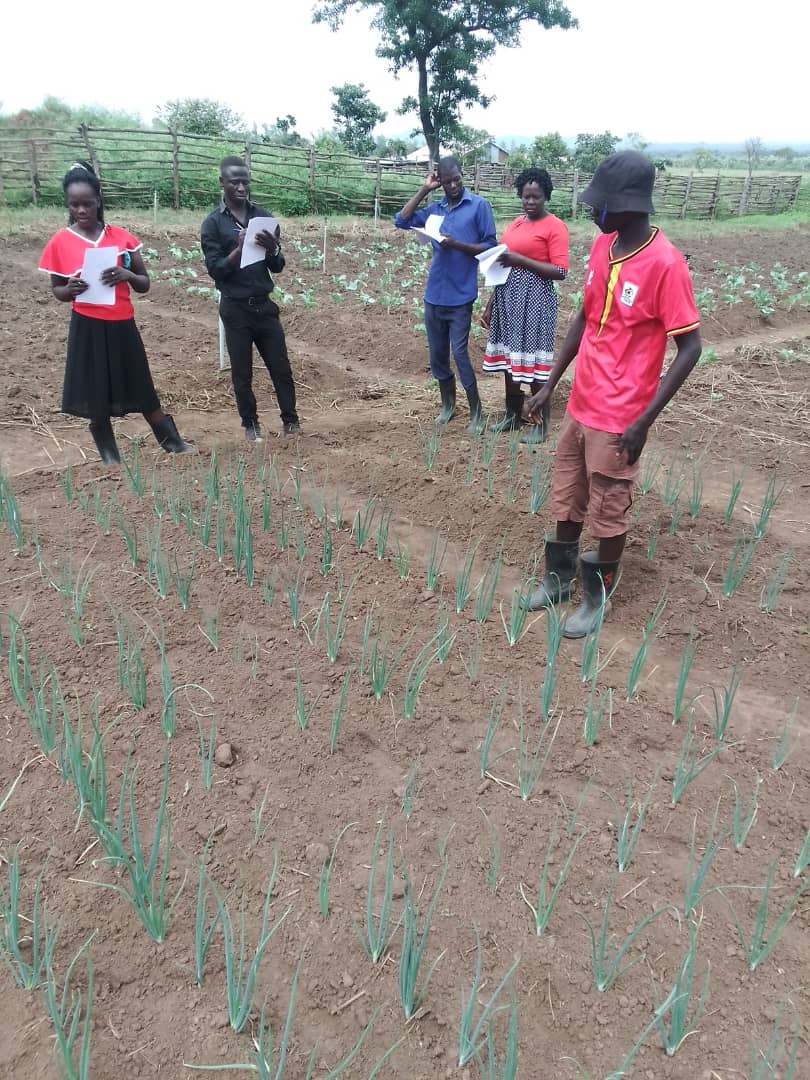 Agri-Business Students in the garden