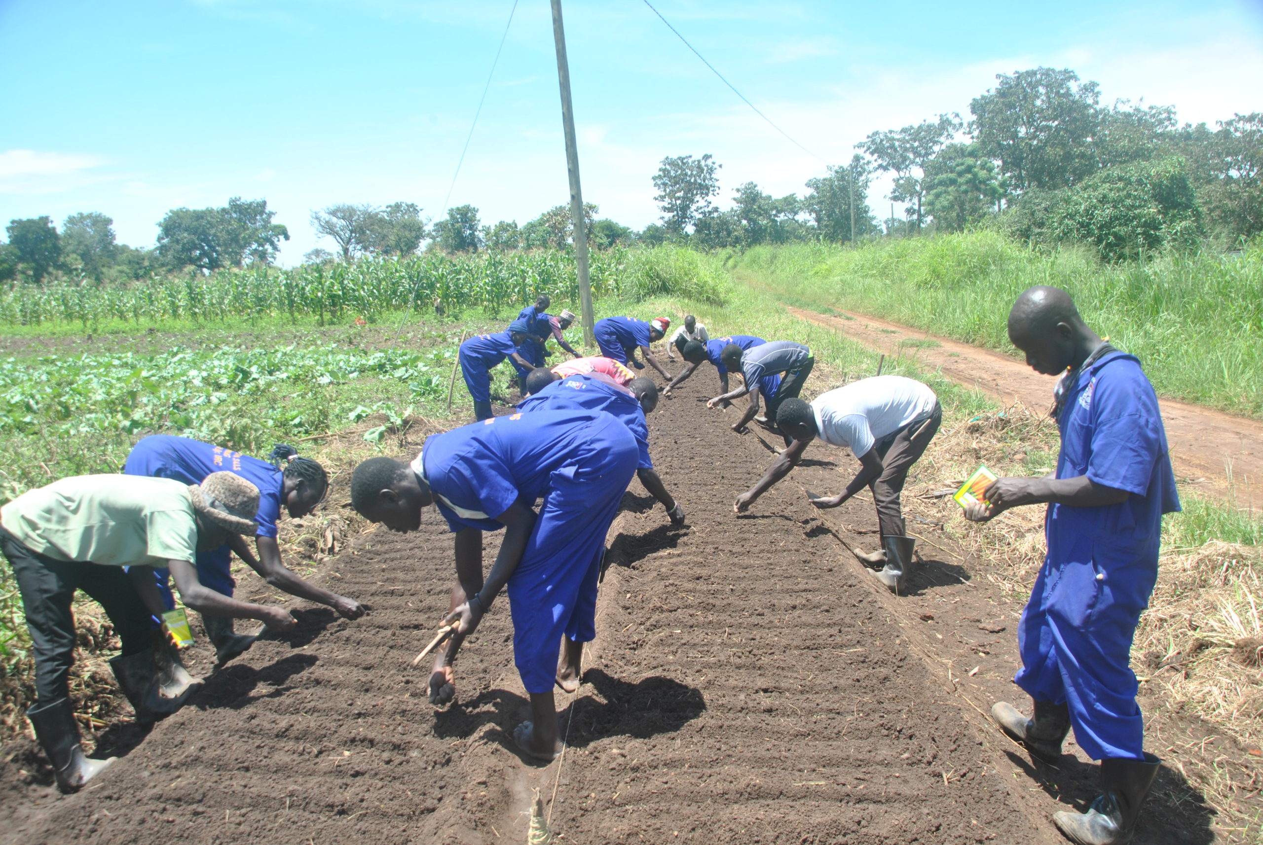 crop production and management